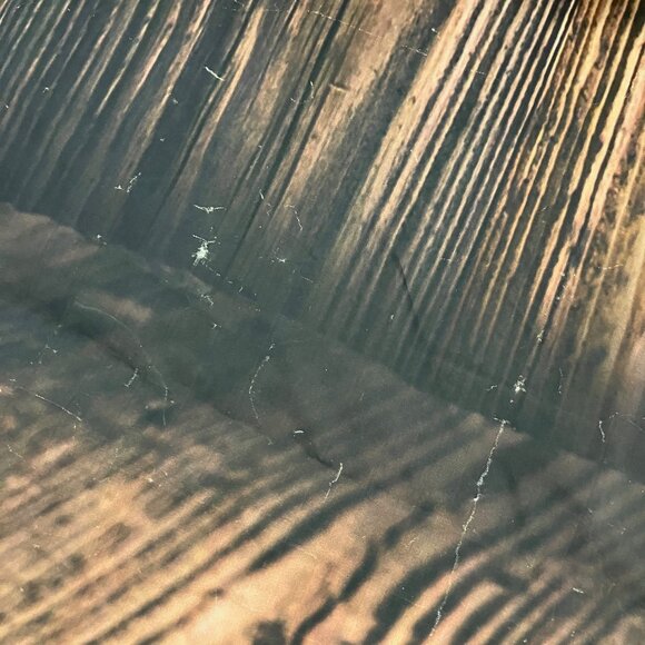 10' x 10' Photo Backdrop Trees Forest Wood Rustic Cloth Fabric 10359 (flaws) - Picture 5 of 5